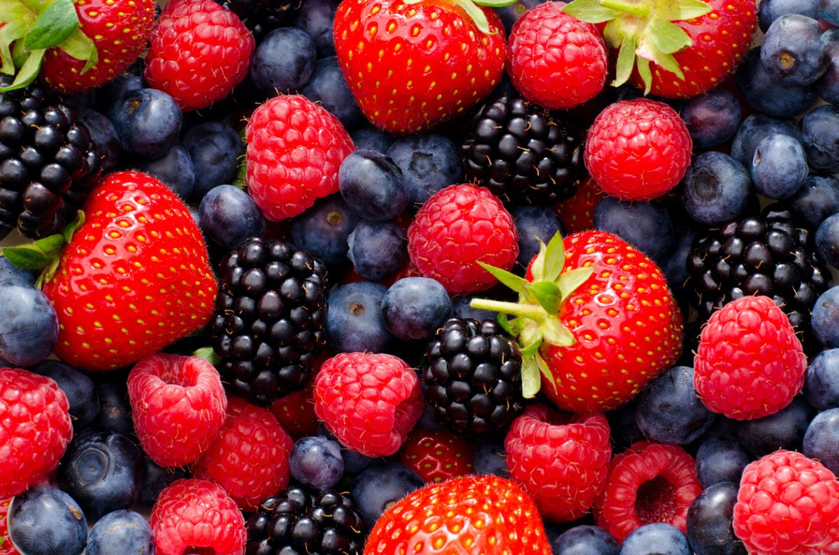 how-to-ferment-berries