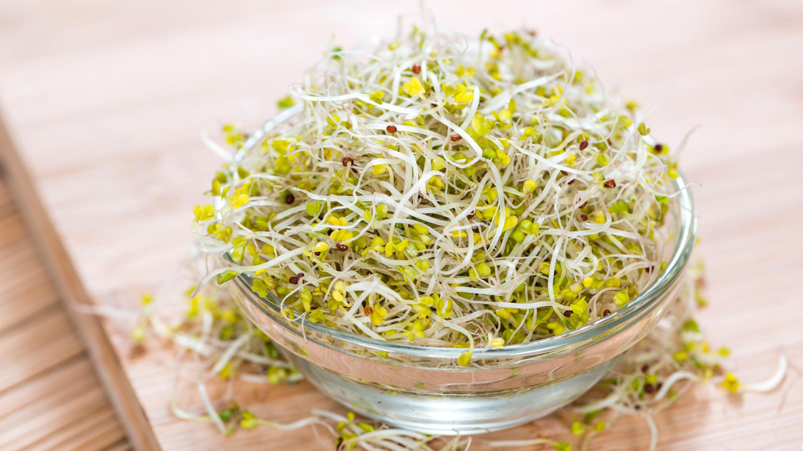 how-to-ferment-broccoli-sprouts