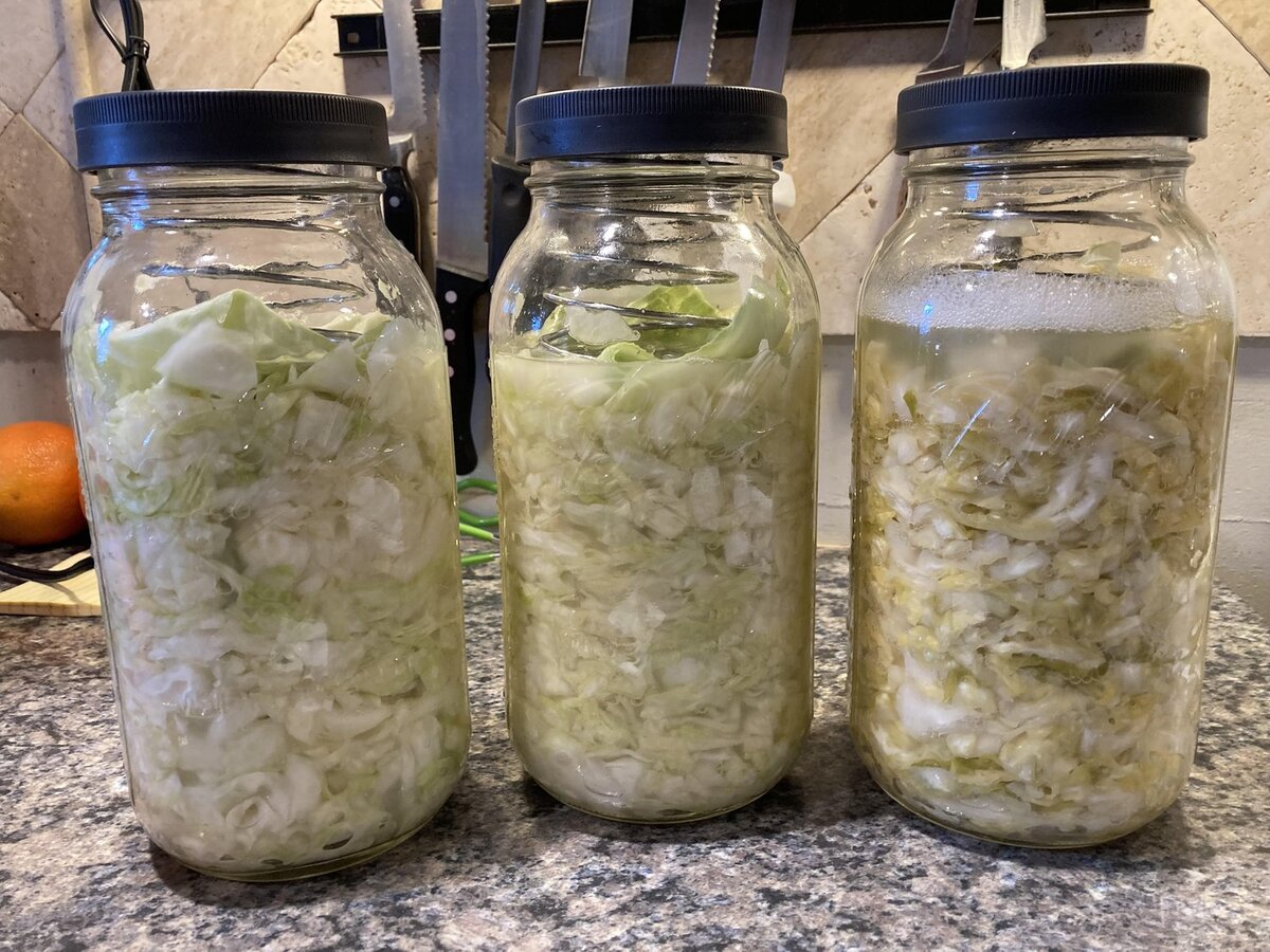 how-to-ferment-cabbage-in-mason-jar