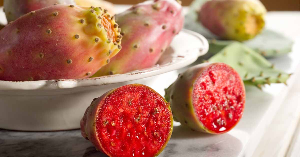 how-to-ferment-cactus-fruits