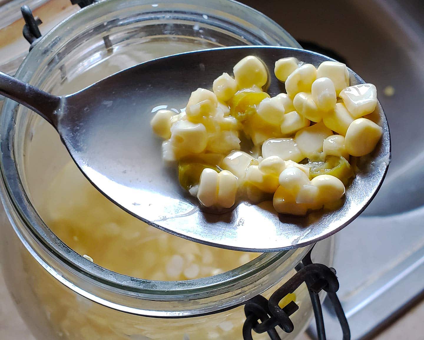 how-to-ferment-corn