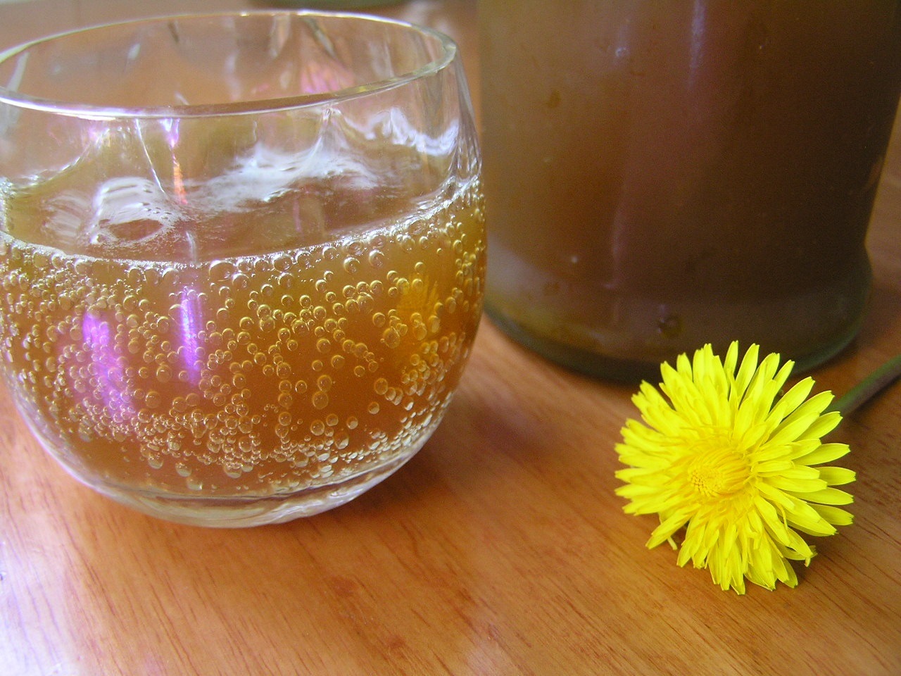 how-to-ferment-dandelion