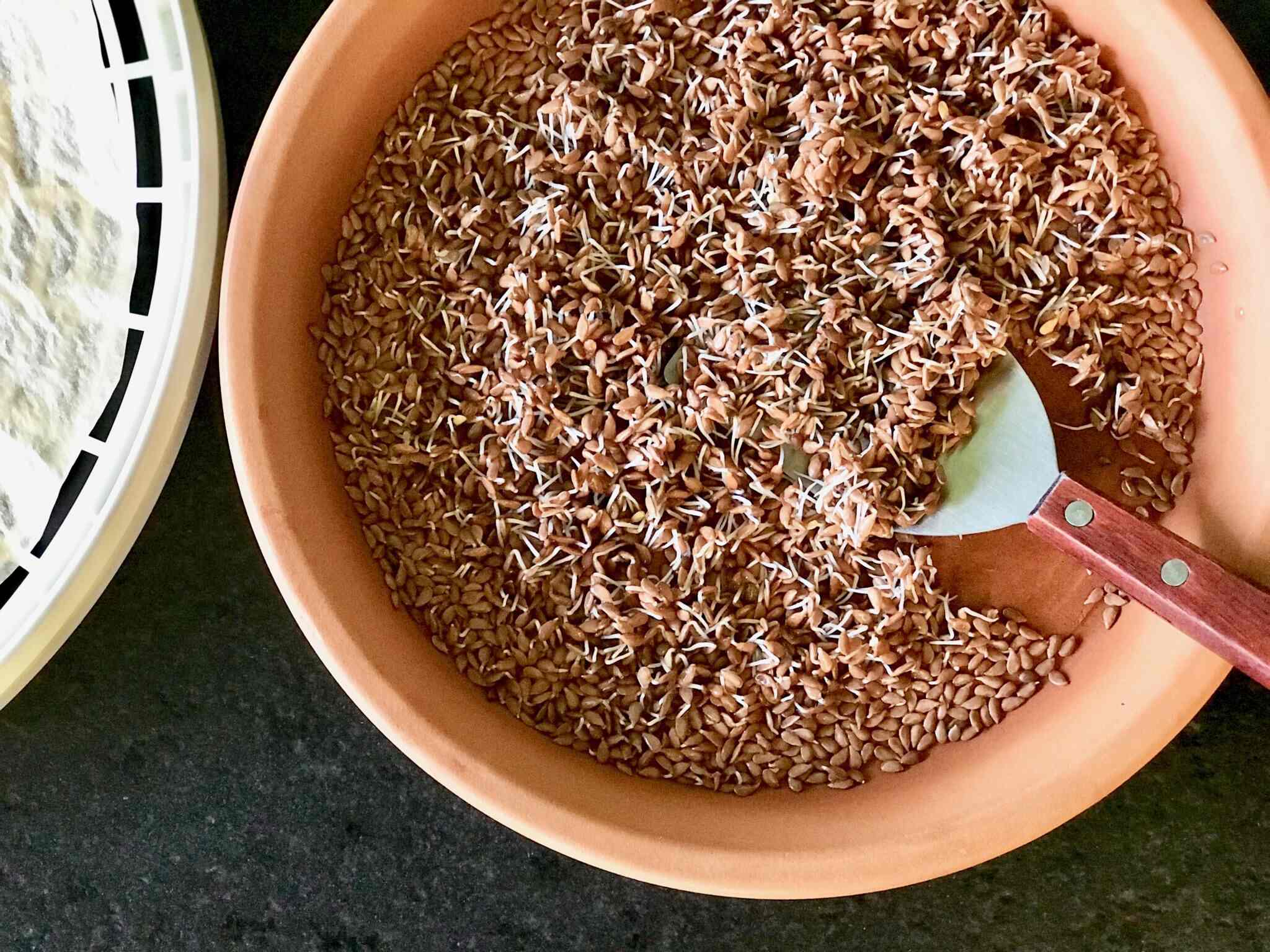 How To Ferment Flax Seed 