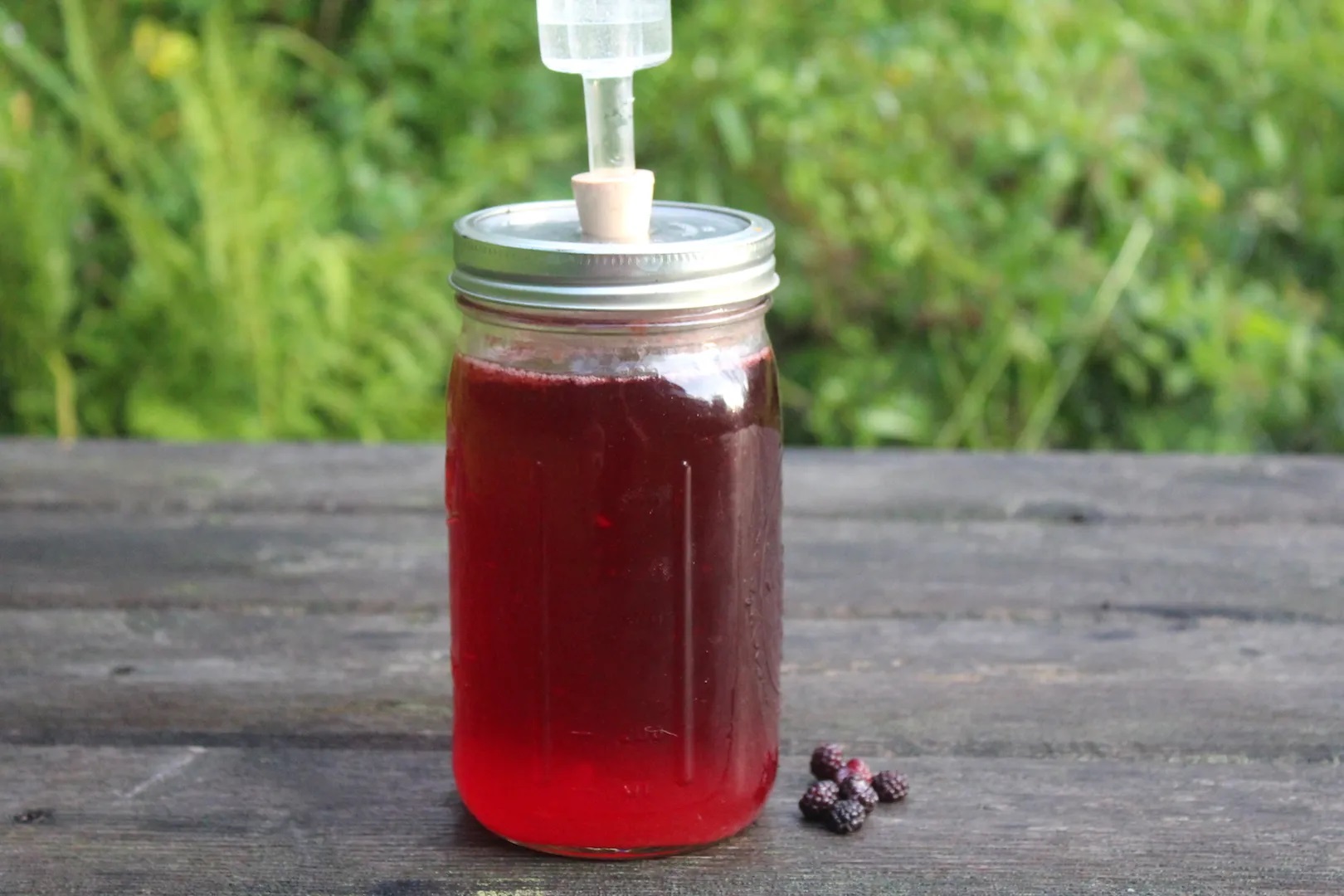 how-to-ferment-grape-juice-without-yeast