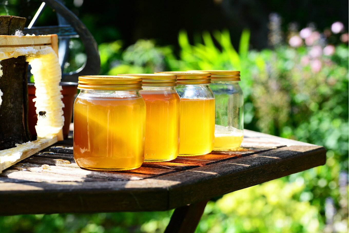 how-to-ferment-honey