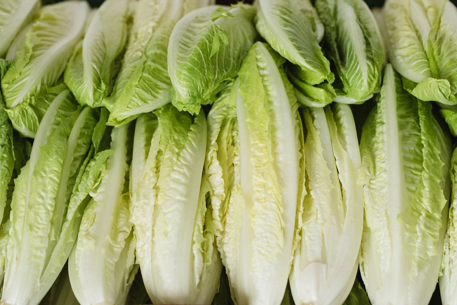 how-to-ferment-lettuce