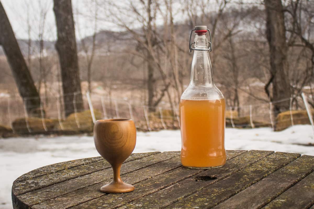 how-to-ferment-maple-sap