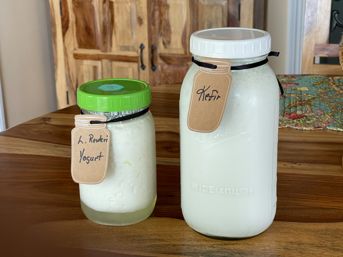 how-to-ferment-milk