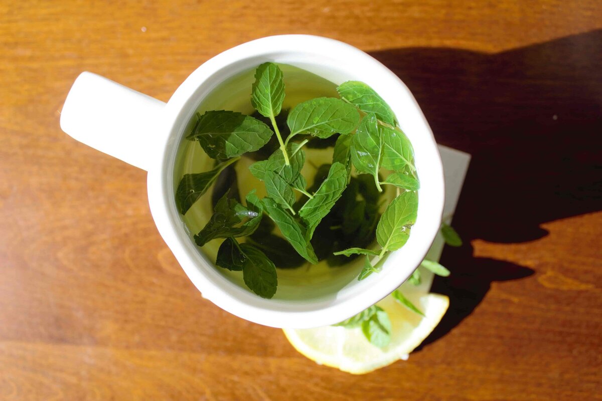 how-to-ferment-mint-leaves-for-tea