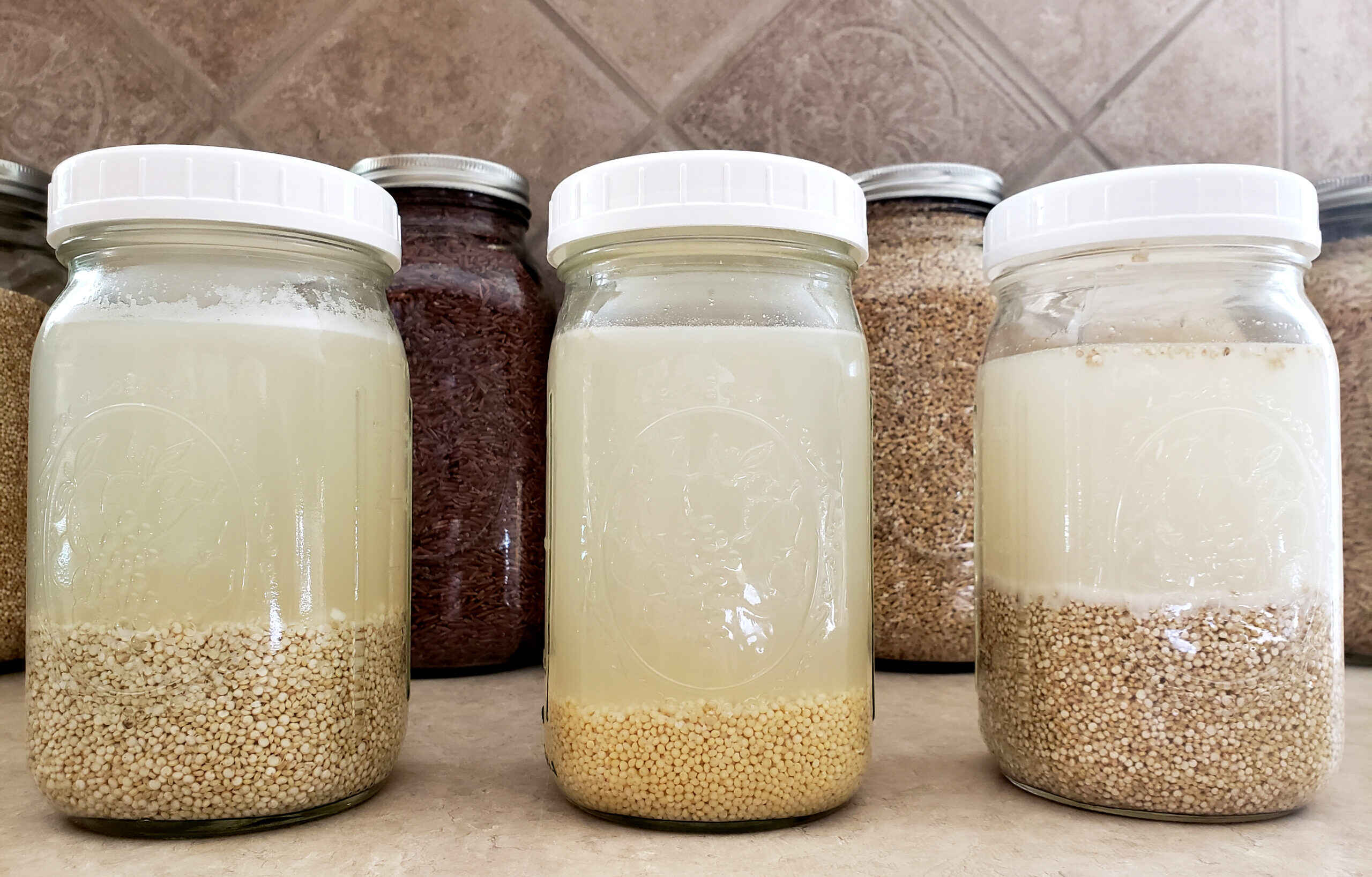 how-to-ferment-quinoa