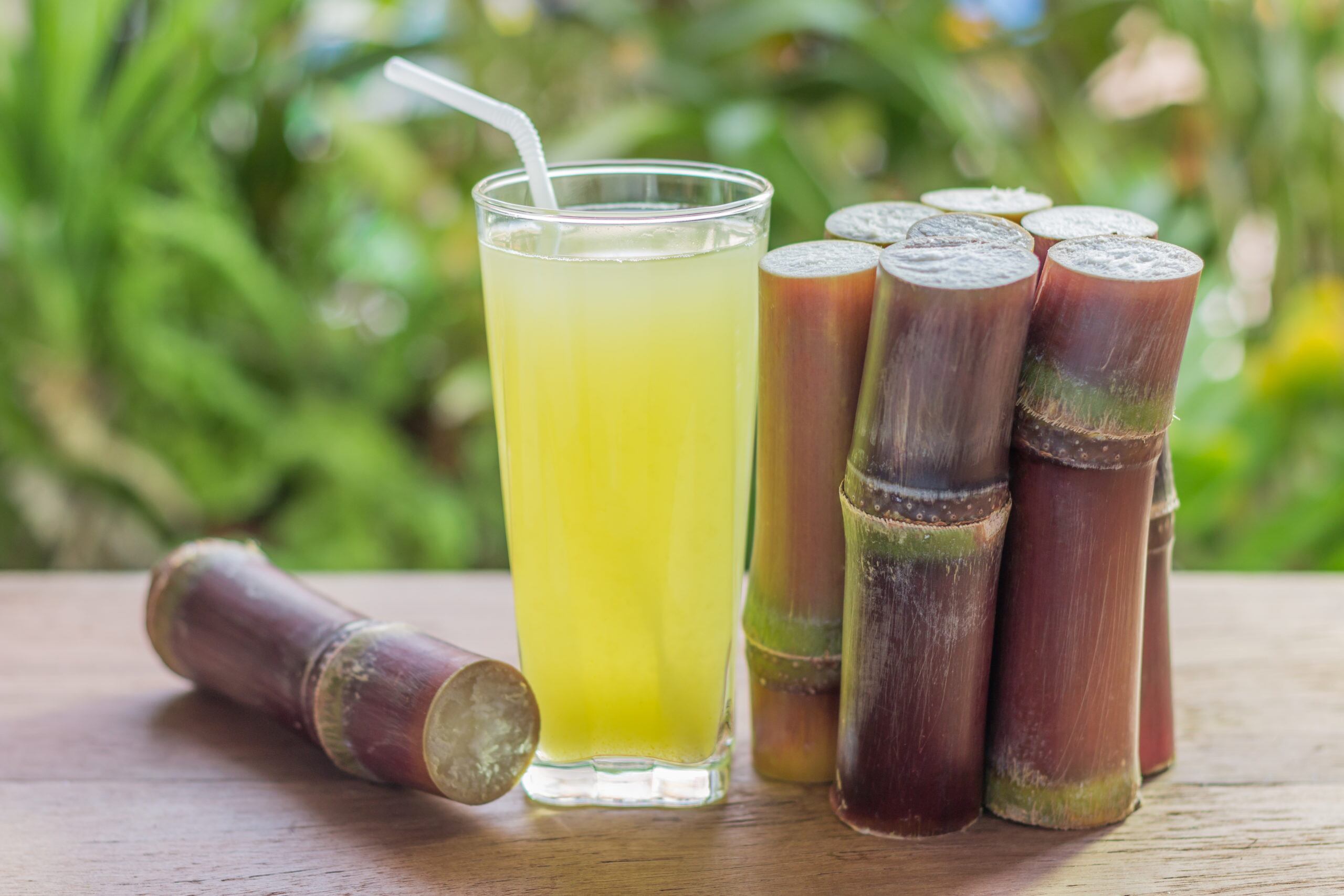 how-to-ferment-sugar-cane