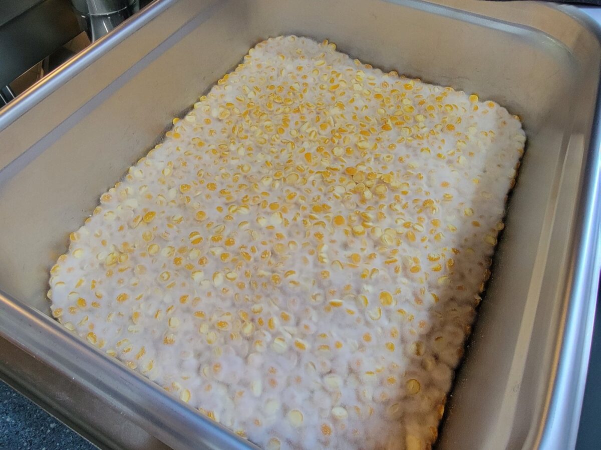 how-to-ferment-tempeh