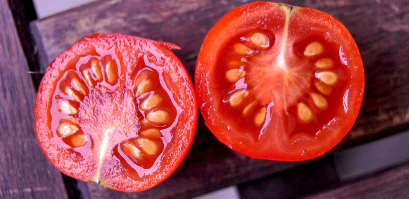 how-to-ferment-tomato