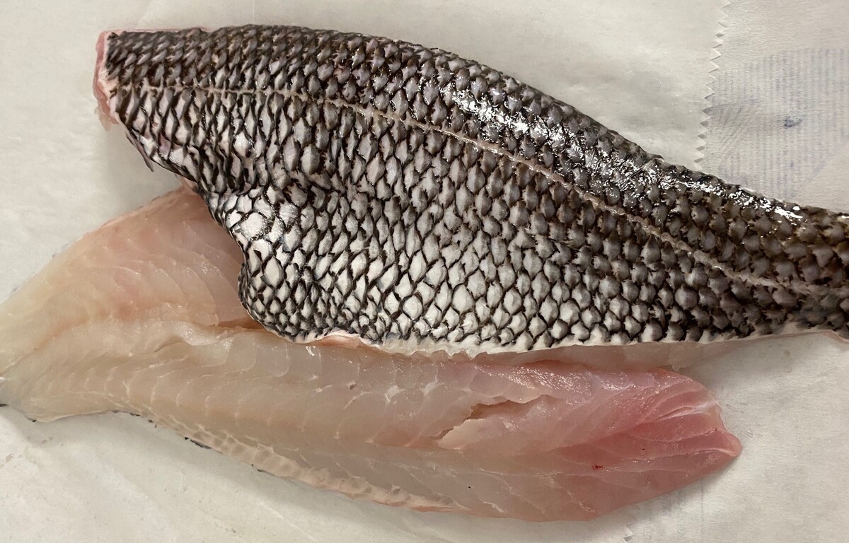 how-to-fillet-a-black-sea-bass