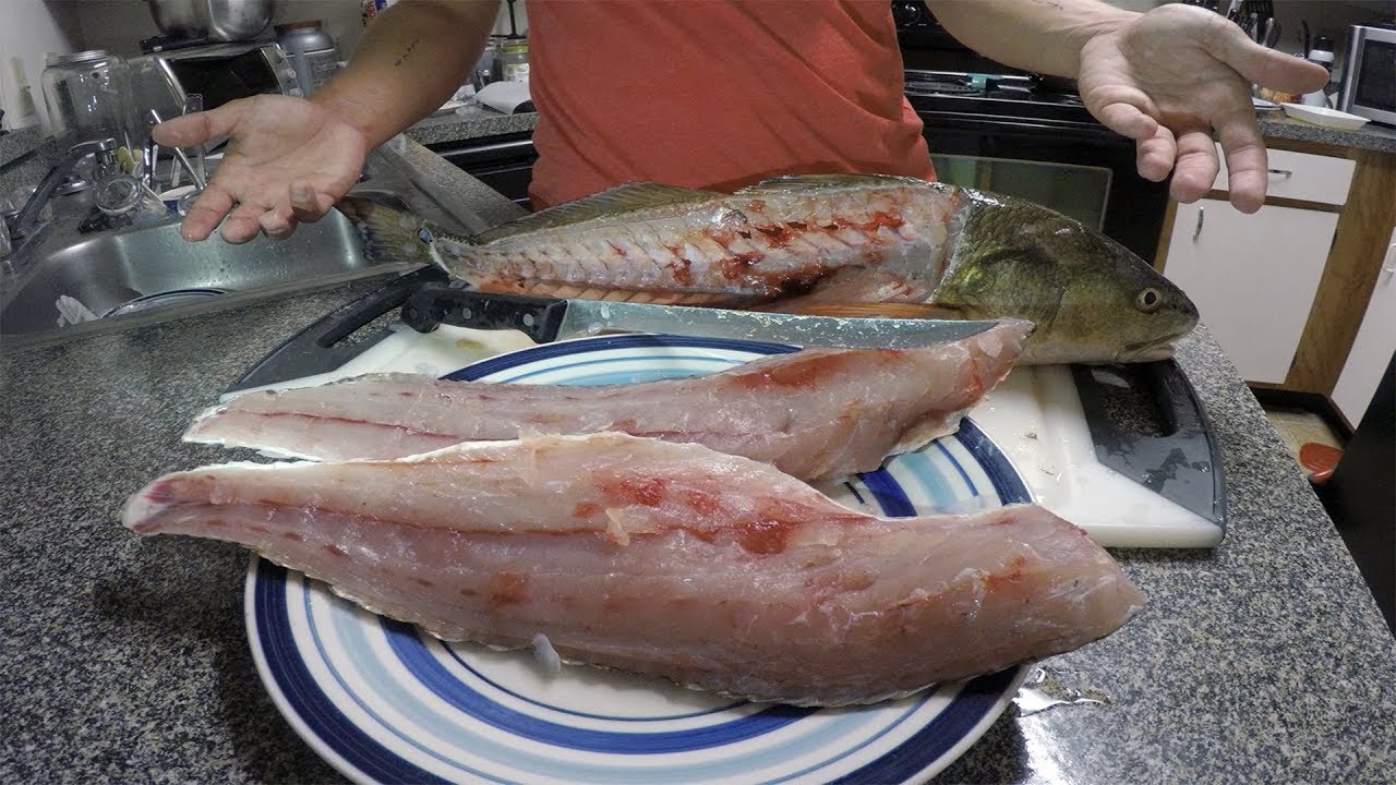 how-to-fillet-a-bullred