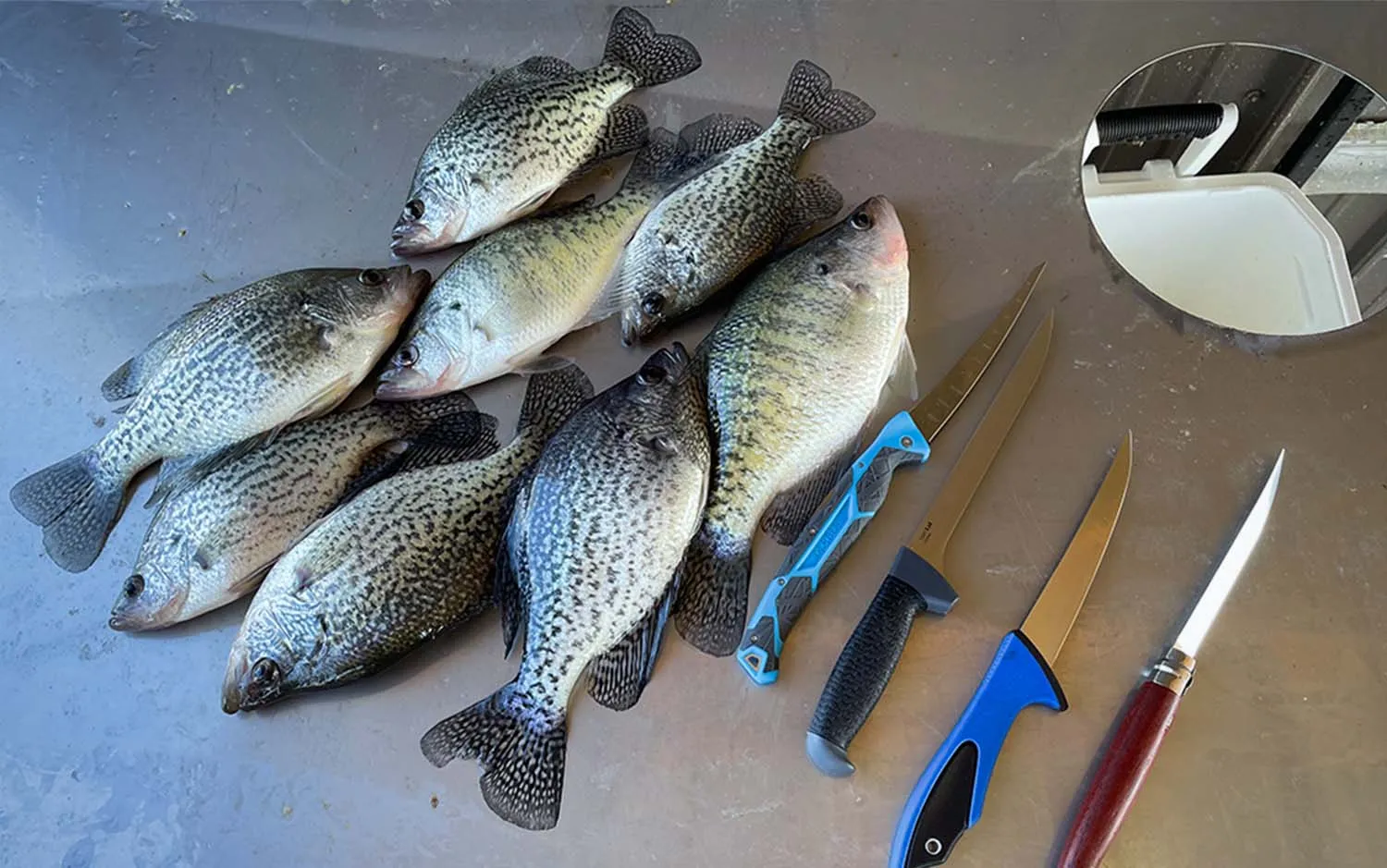 How To Fillet A Crappie With Electric Knife 
