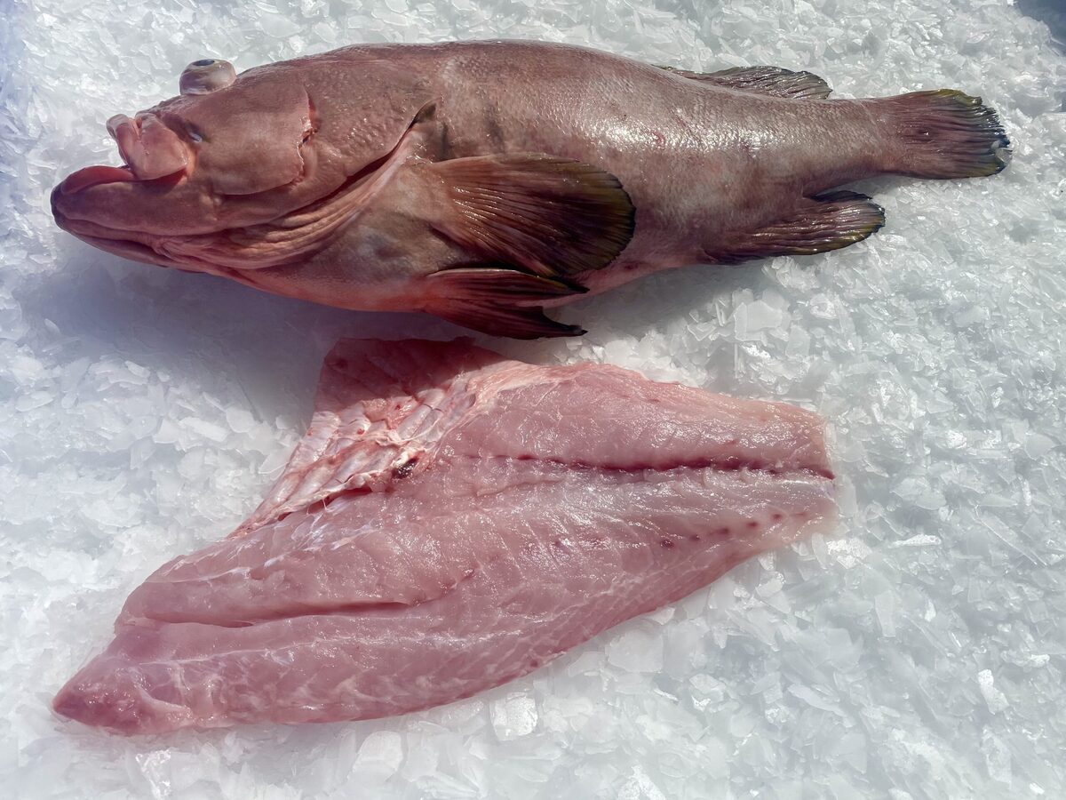 how-to-fillet-a-grouper