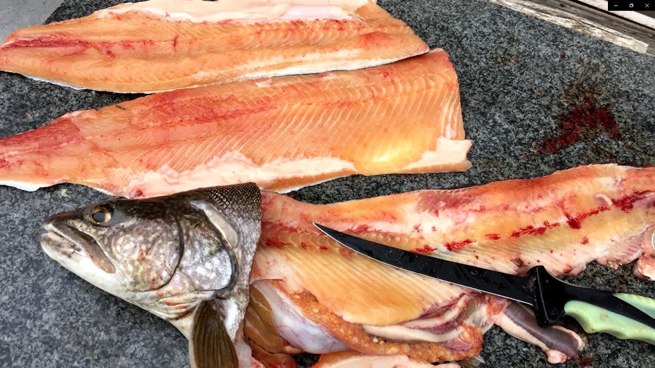 How to Butcher a Castaic Trout - Part I