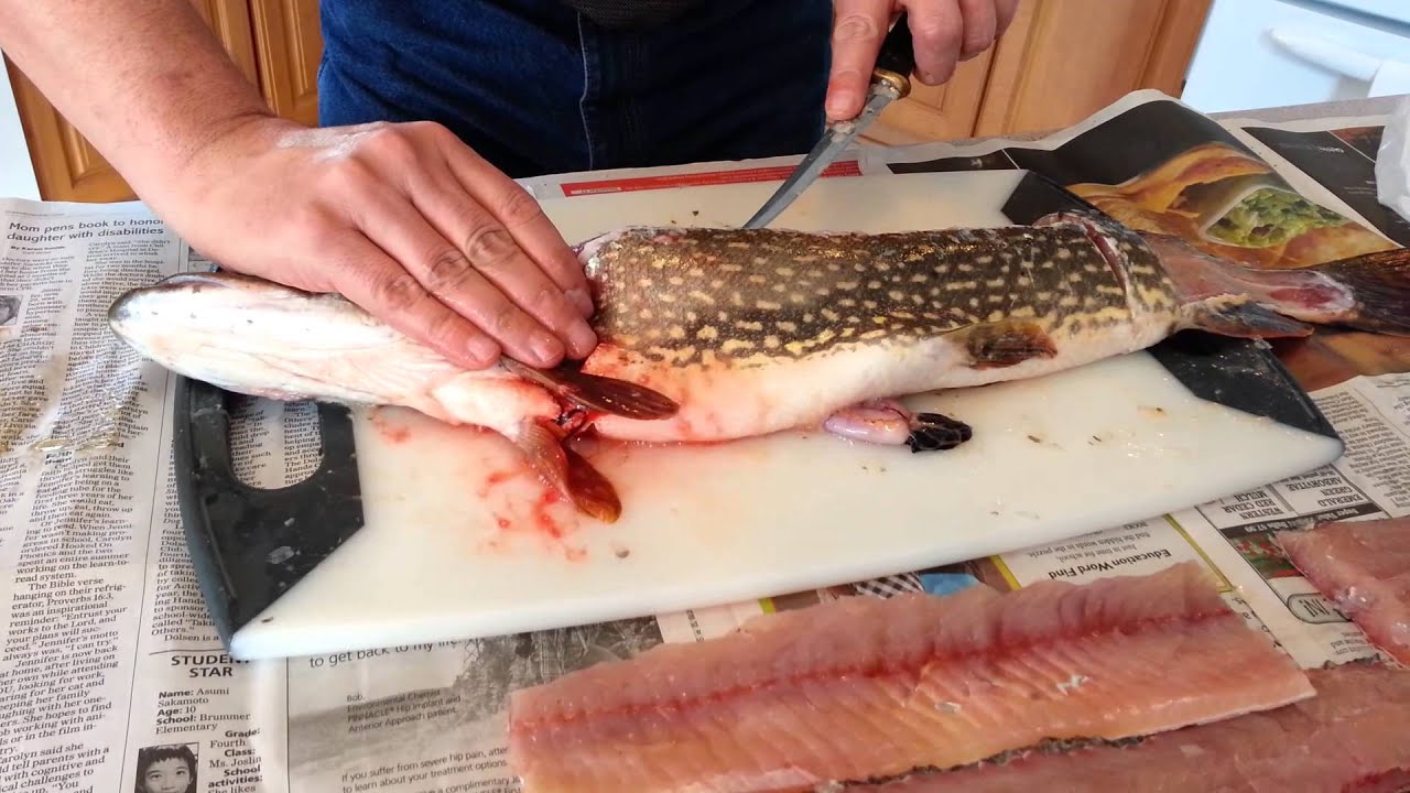 how-to-fillet-a-northern-pike-boneless