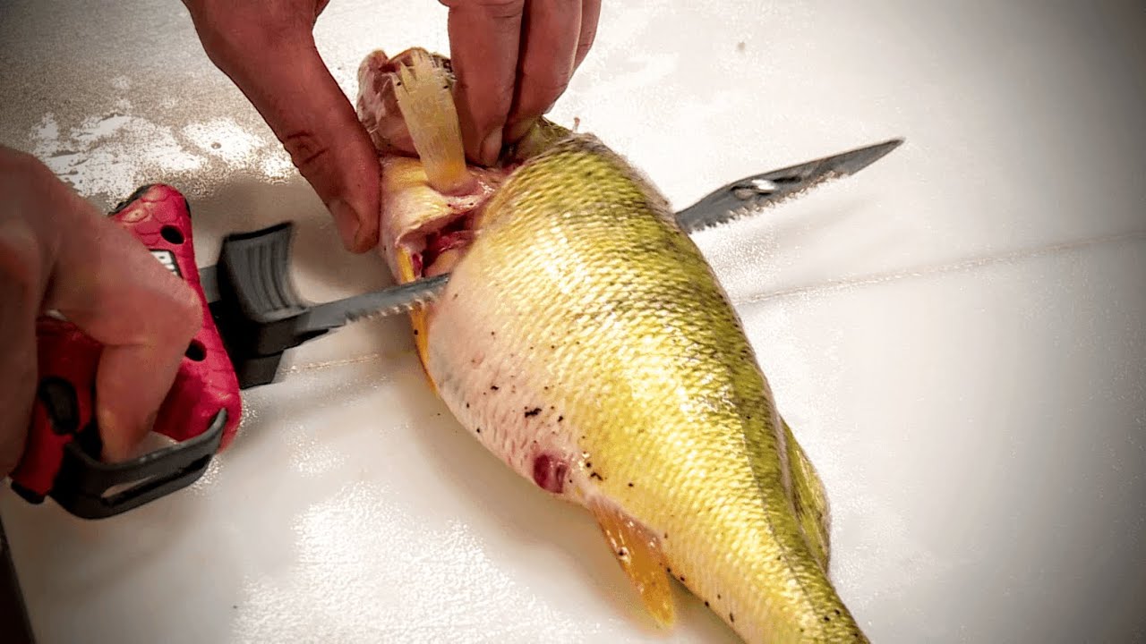 how-to-fillet-a-perch-in-10-seconds