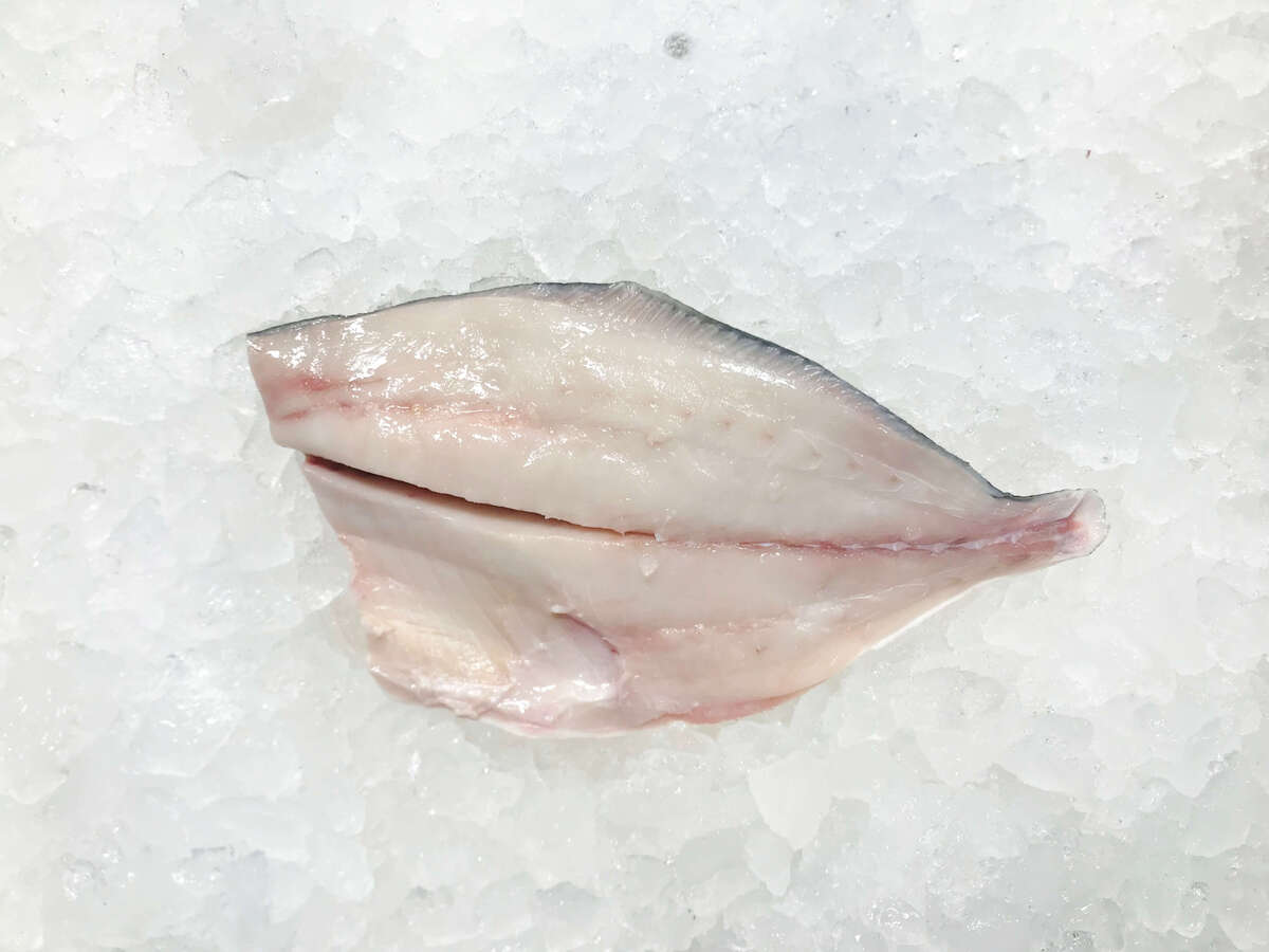 how-to-fillet-a-pompano-fish