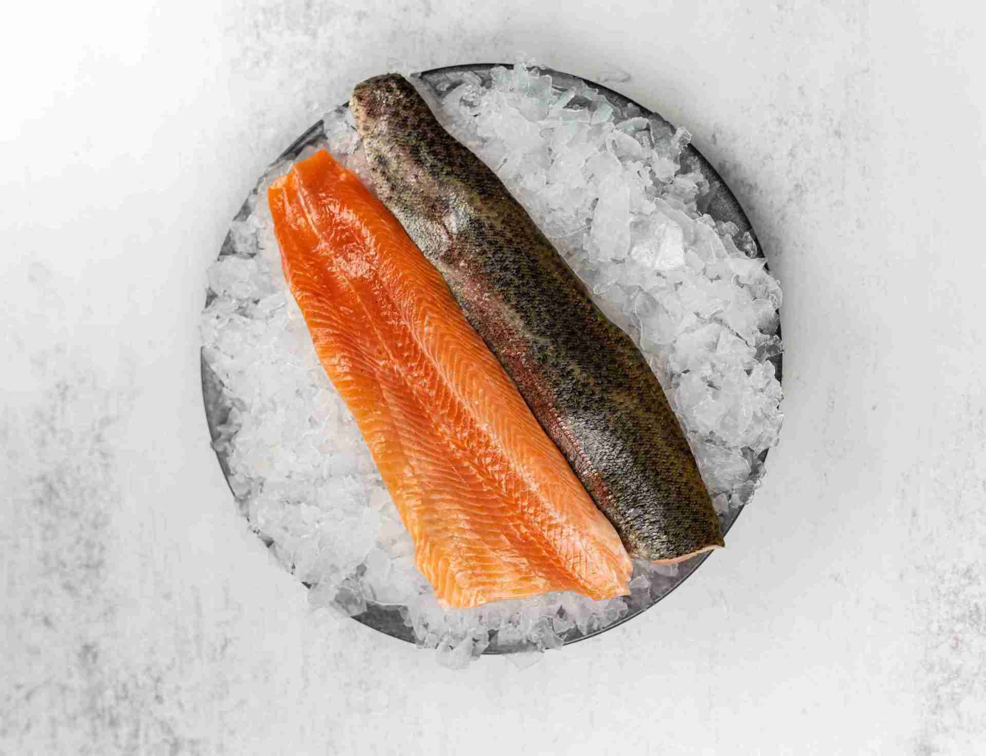 how-to-fillet-a-rainbow-trout-fish