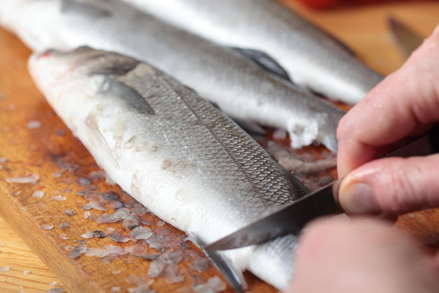 how-to-fillet-a-spot-fish