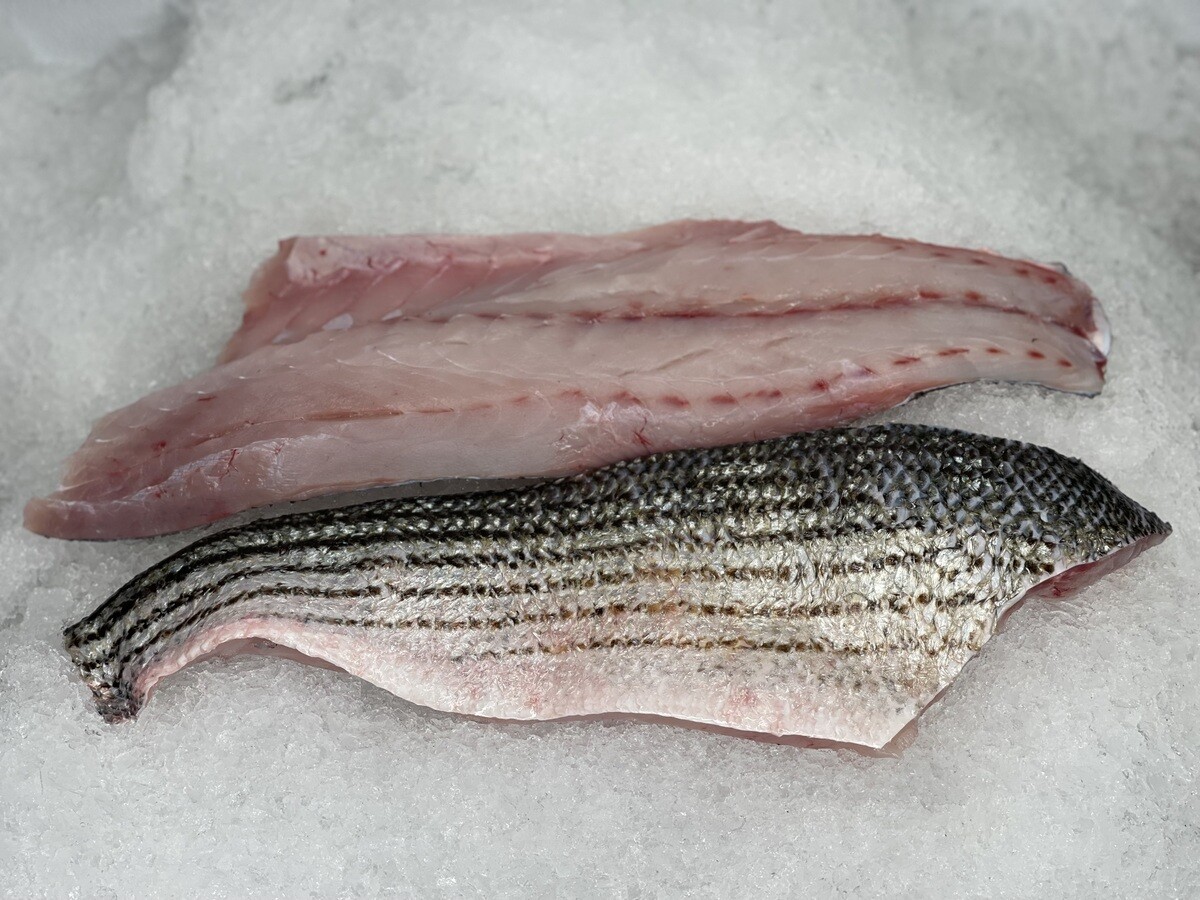 how-to-fillet-a-striped-bass