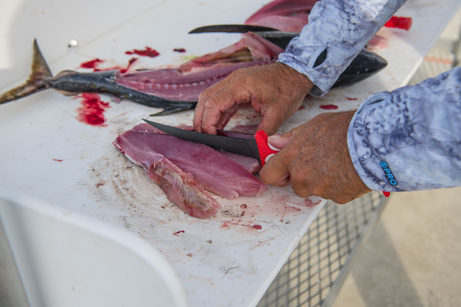 how-to-fillet-a-tuna-fish