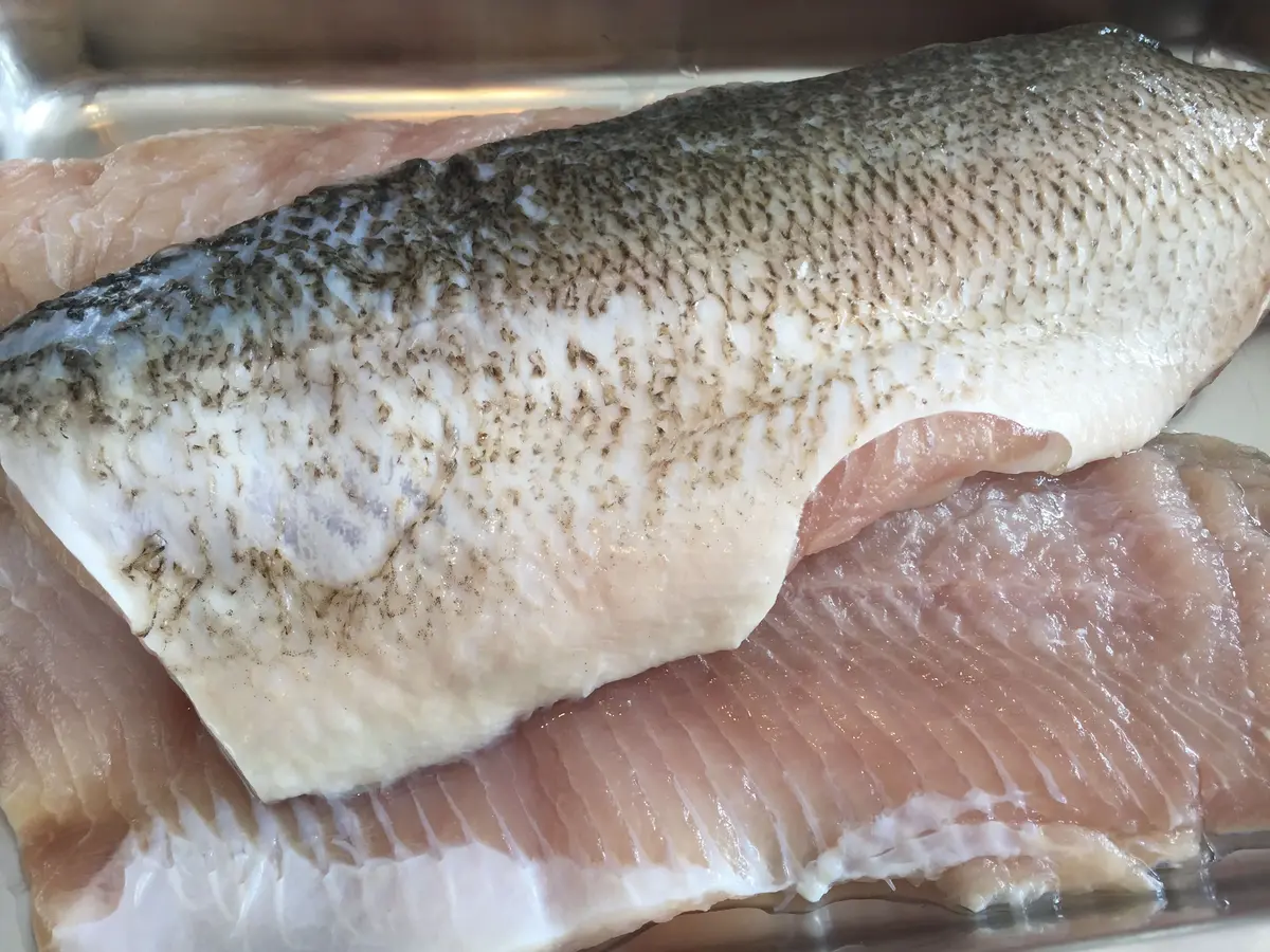 how-to-fillet-a-whitefish