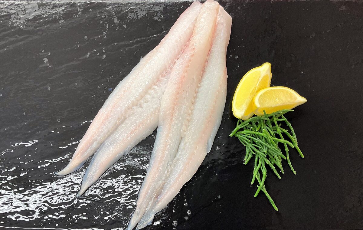 how-to-fillet-a-whiting-fish