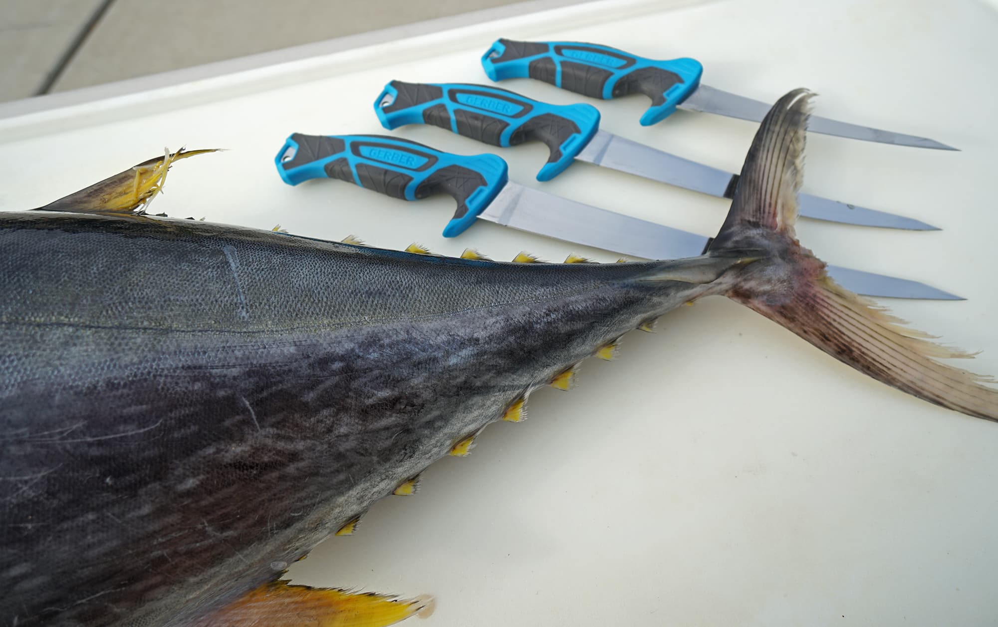 how-to-fillet-bluefin-tuna