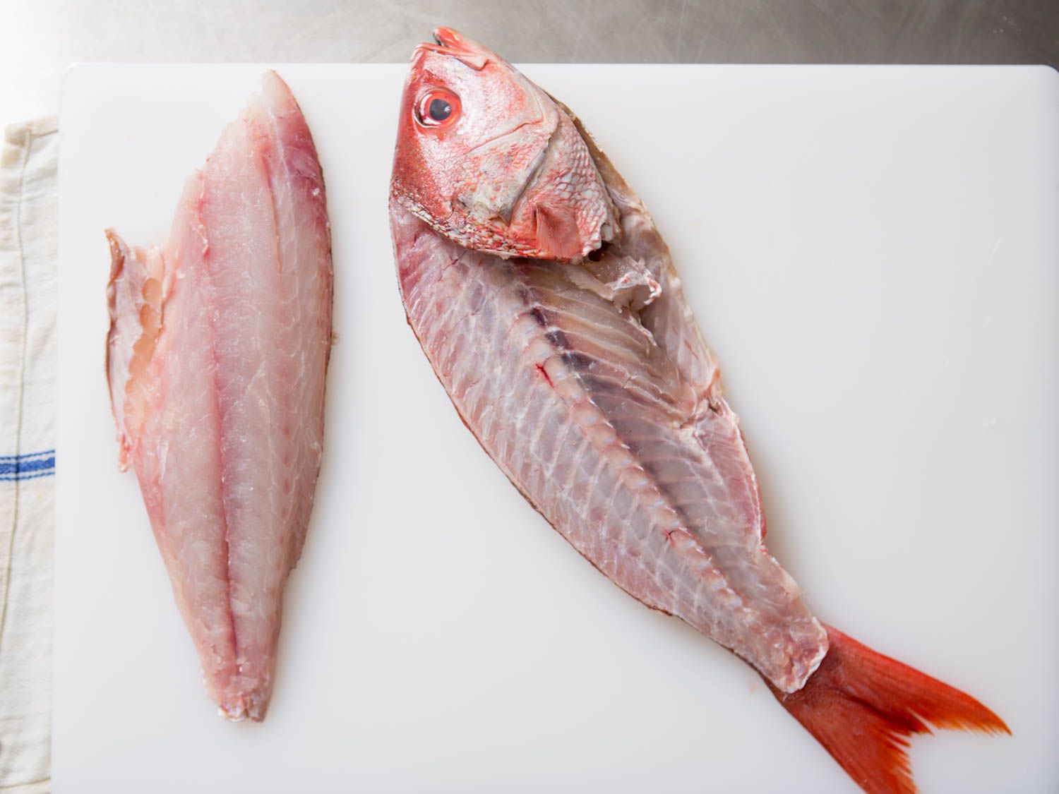 How To Fillet Fish 
