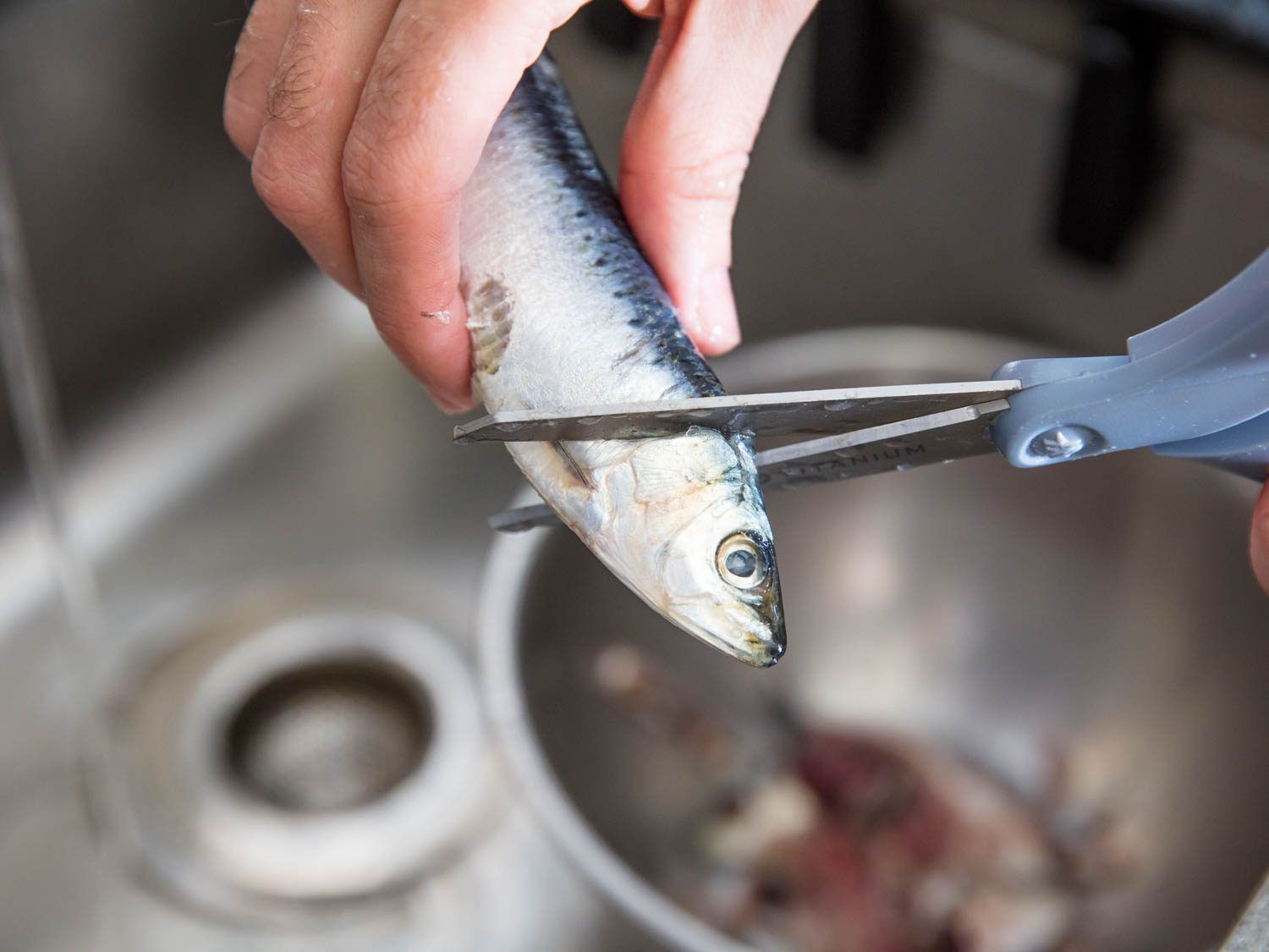 how-to-fillet-fresh-sardines
