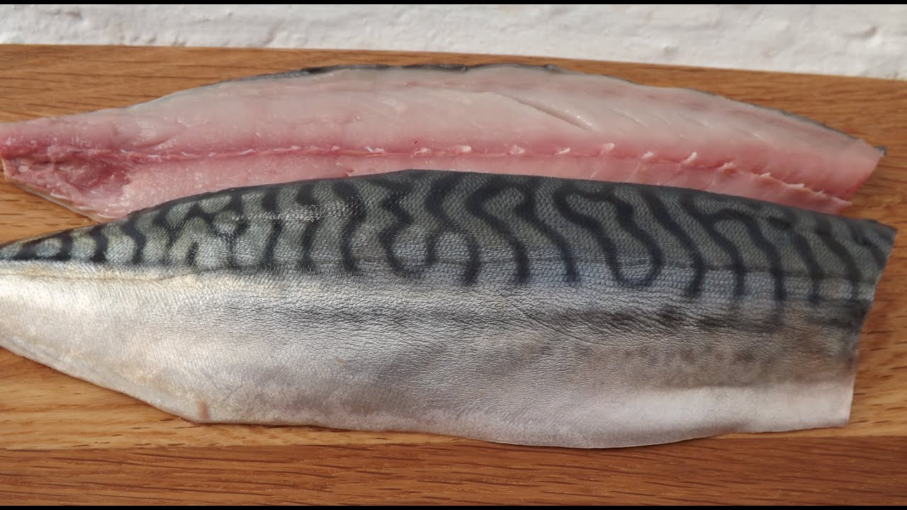 how-to-fillet-mackerel-florida