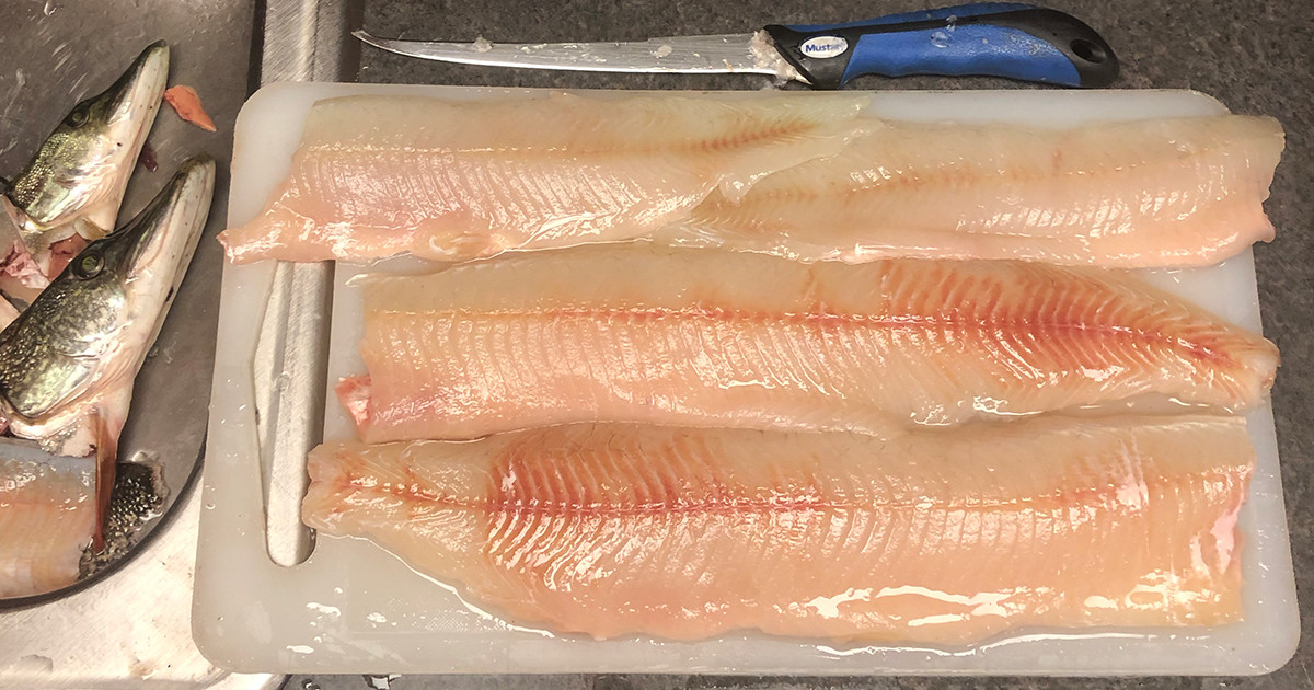 how-to-fillet-pike