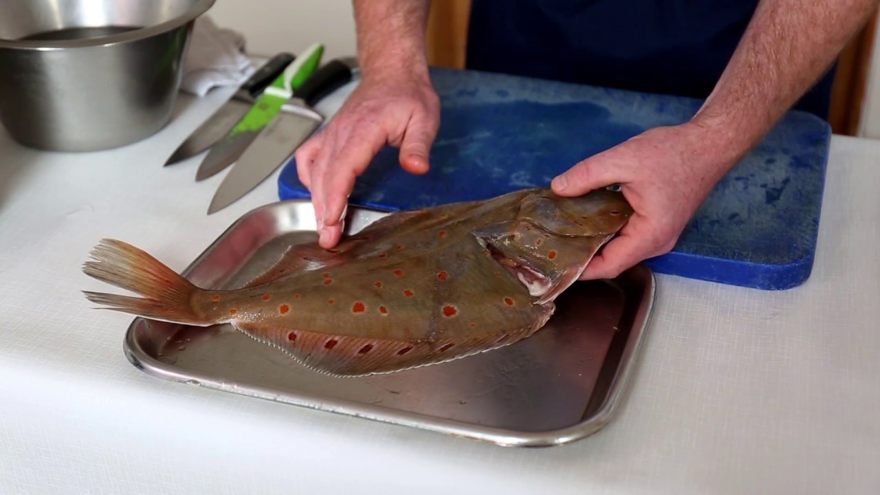 how-to-fillet-plaice