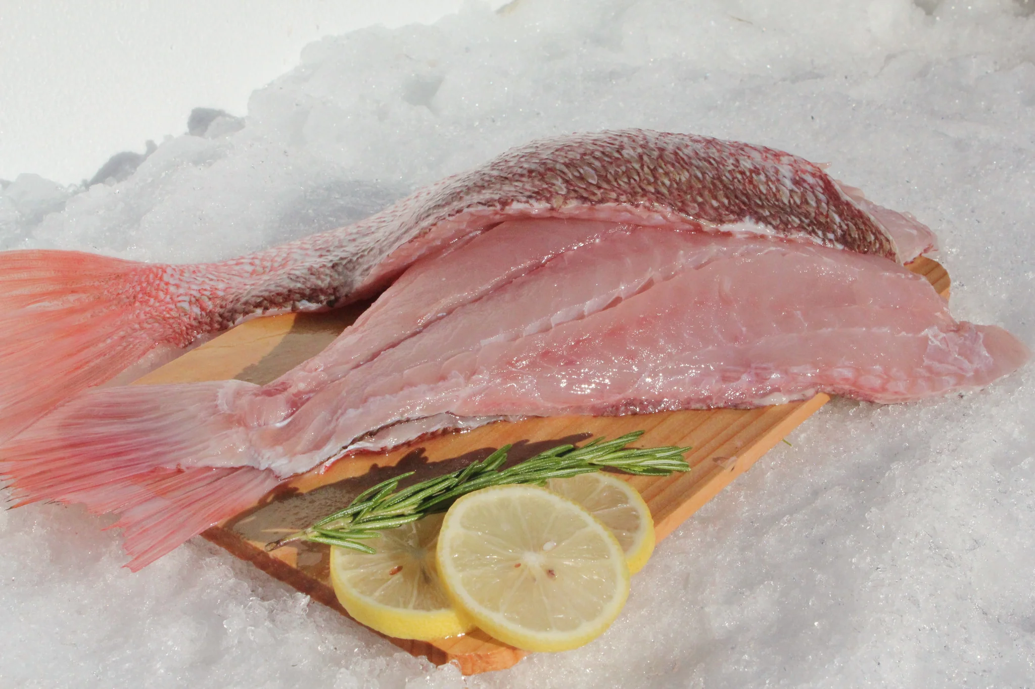 how-to-fillet-red-snapper