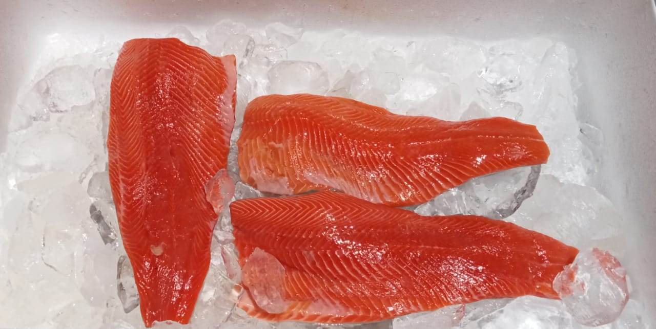 how-to-fillet-sea-trout