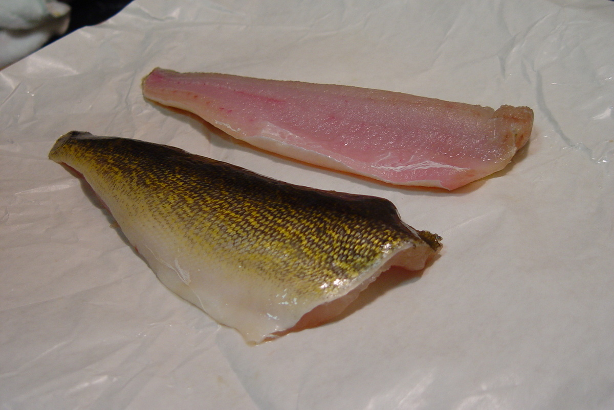 How To Fillet Walleye Boneless