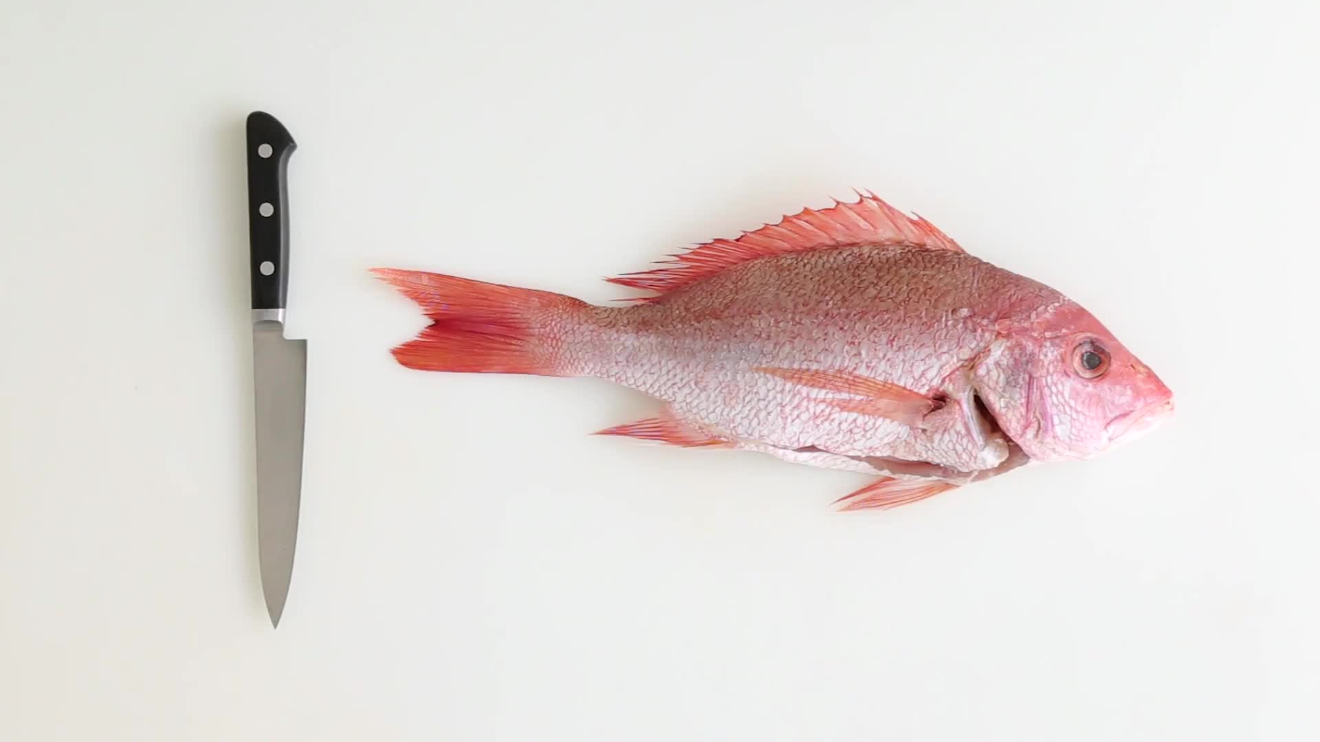 how-to-fillet-whole-fish