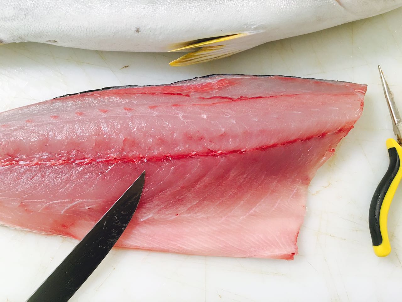 how-to-fillet-yellowtail-snapper