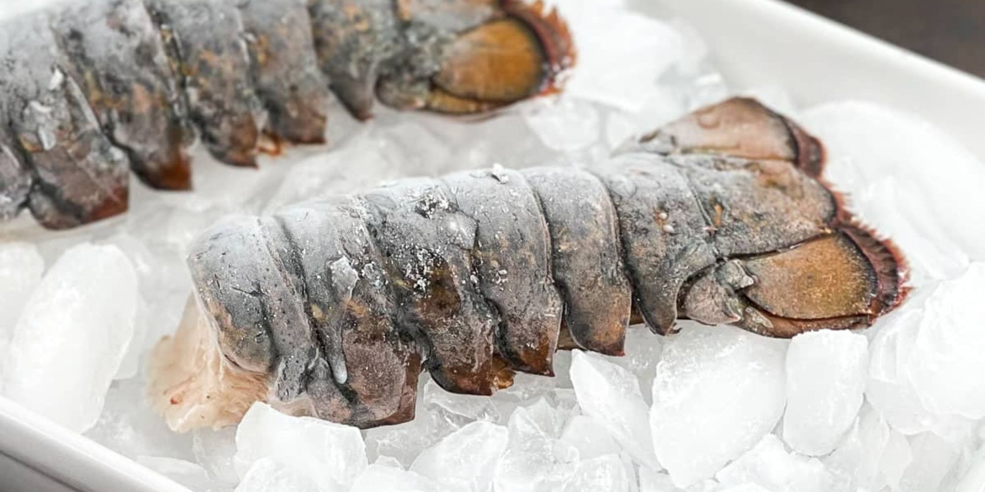 how-to-grill-a-frozen-lobster-tail