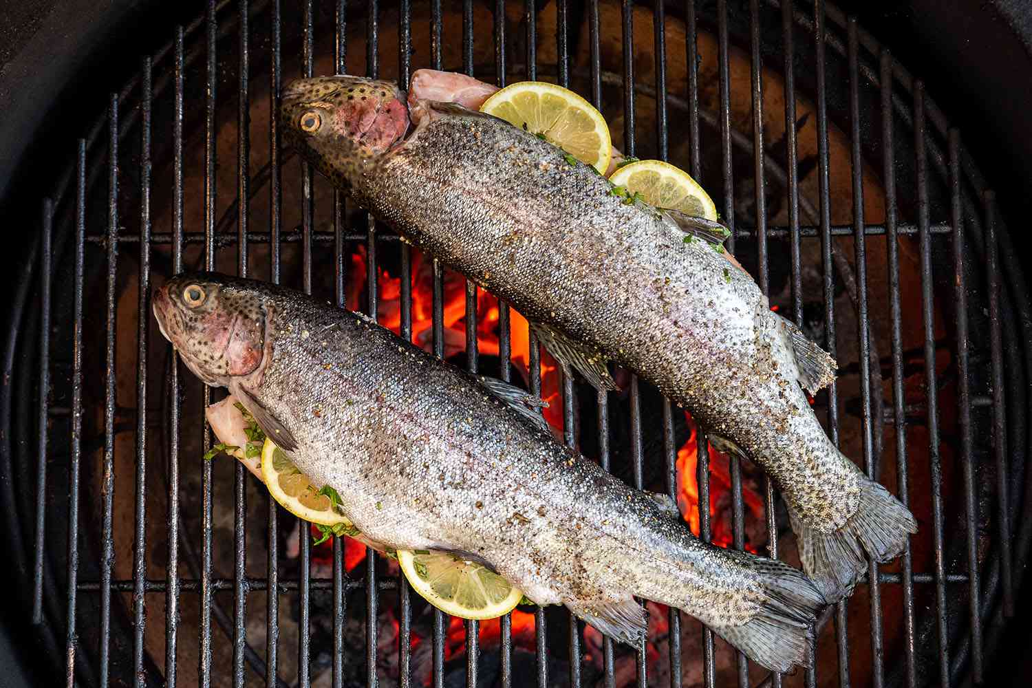 how-to-grill-a-trout