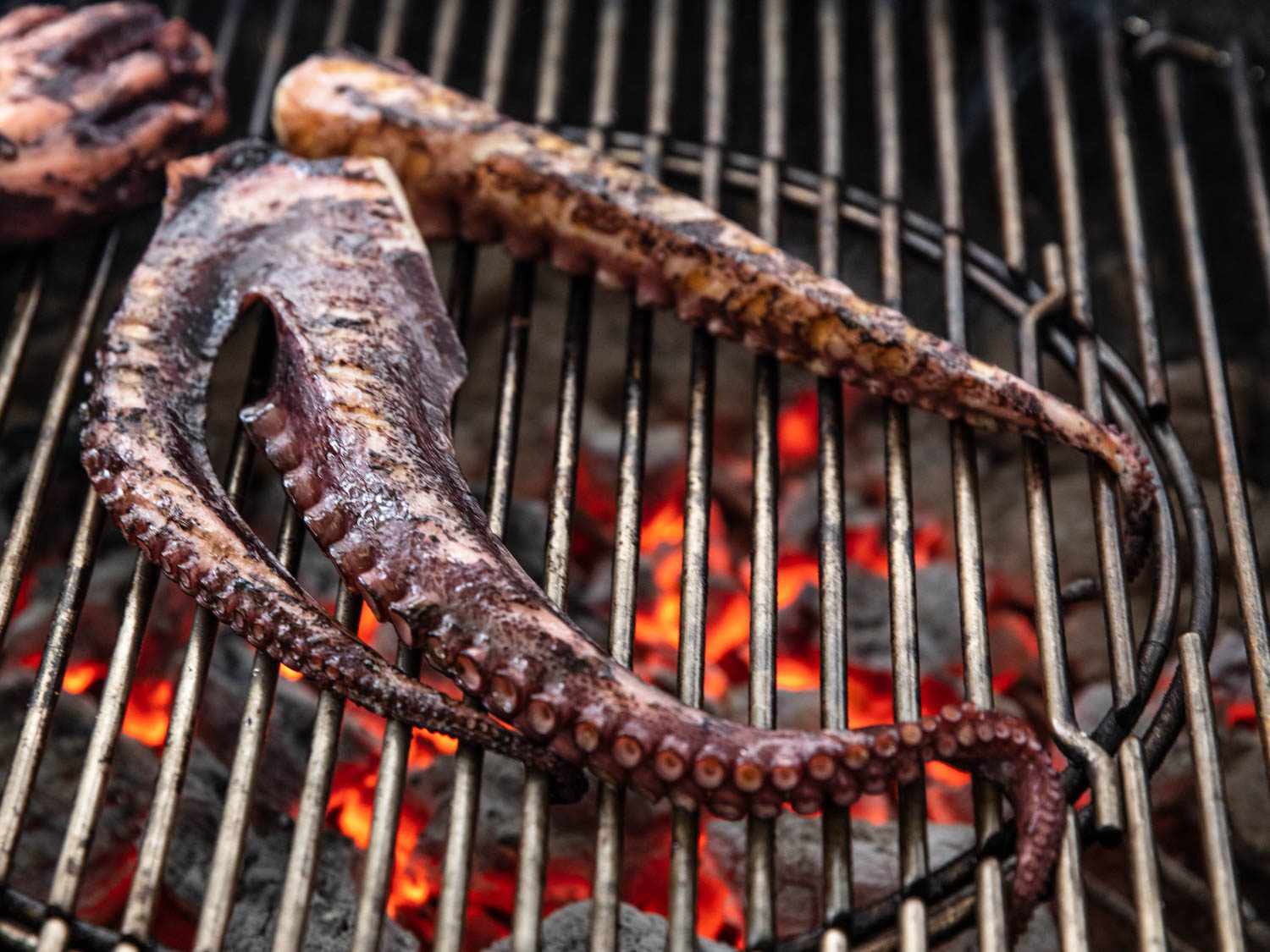 how-to-grill-an-octopus