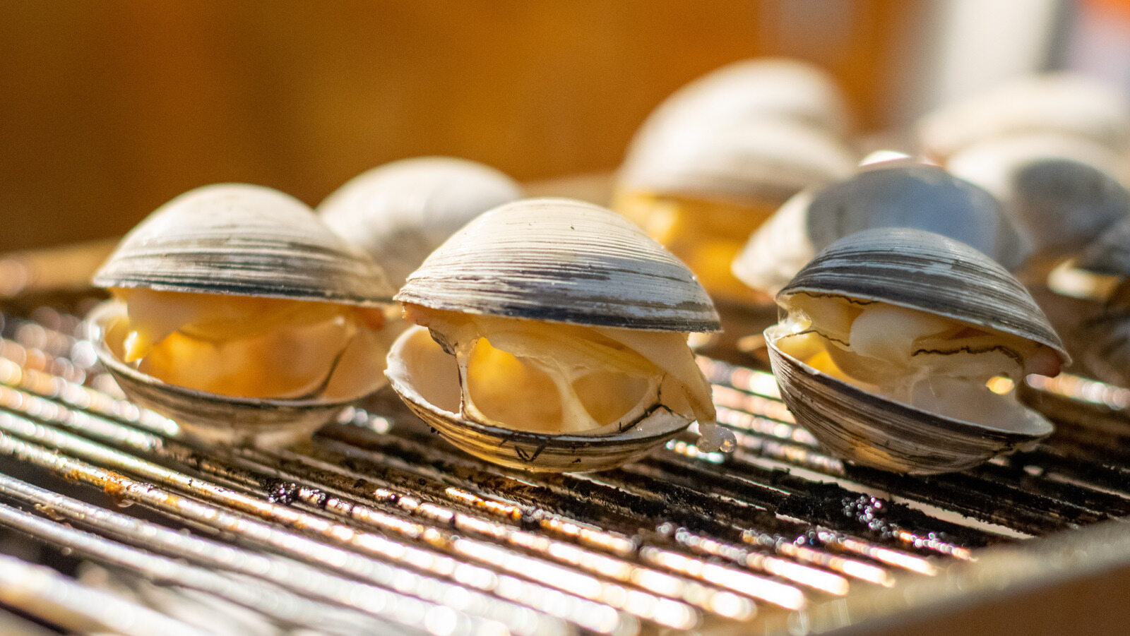 how-to-grill-clams