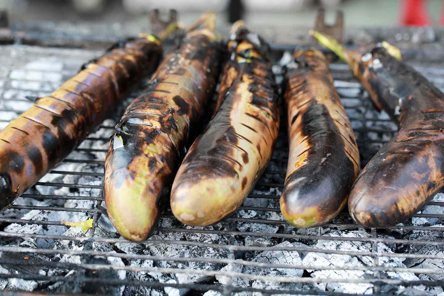 how-to-grill-eggplants