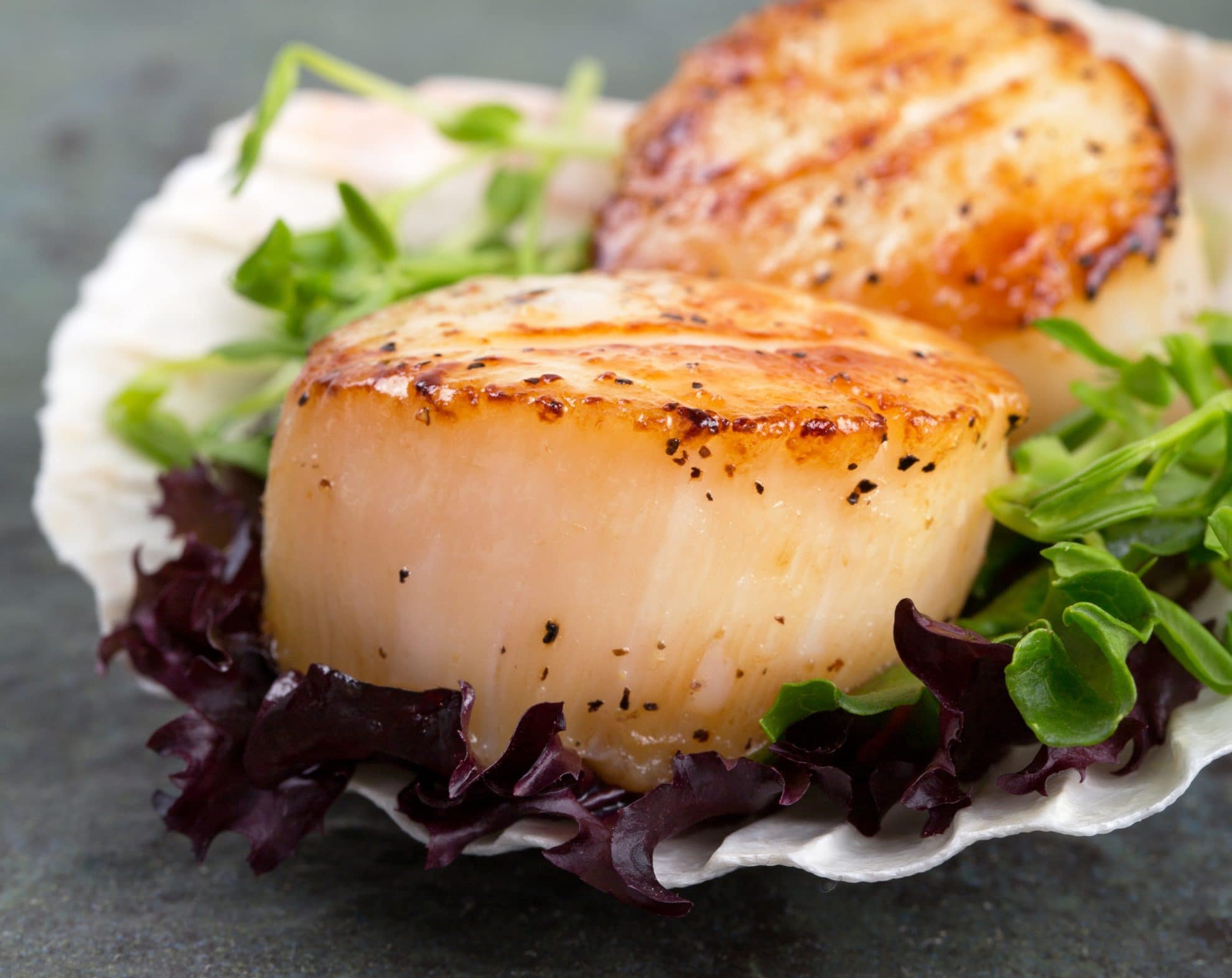 how-to-grill-extra-large-scallops