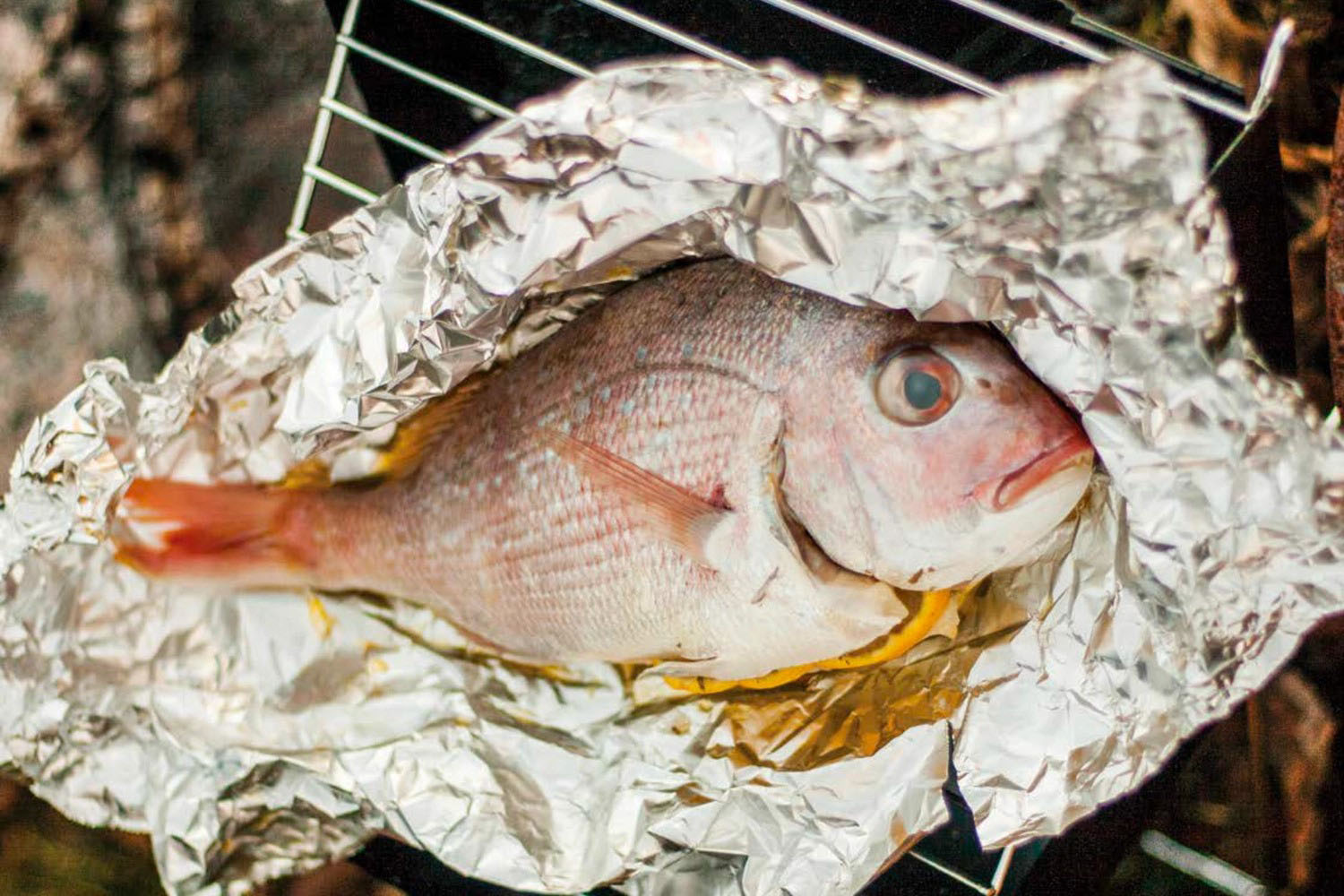 how-to-grill-fish-in-tin-foil-on-grill