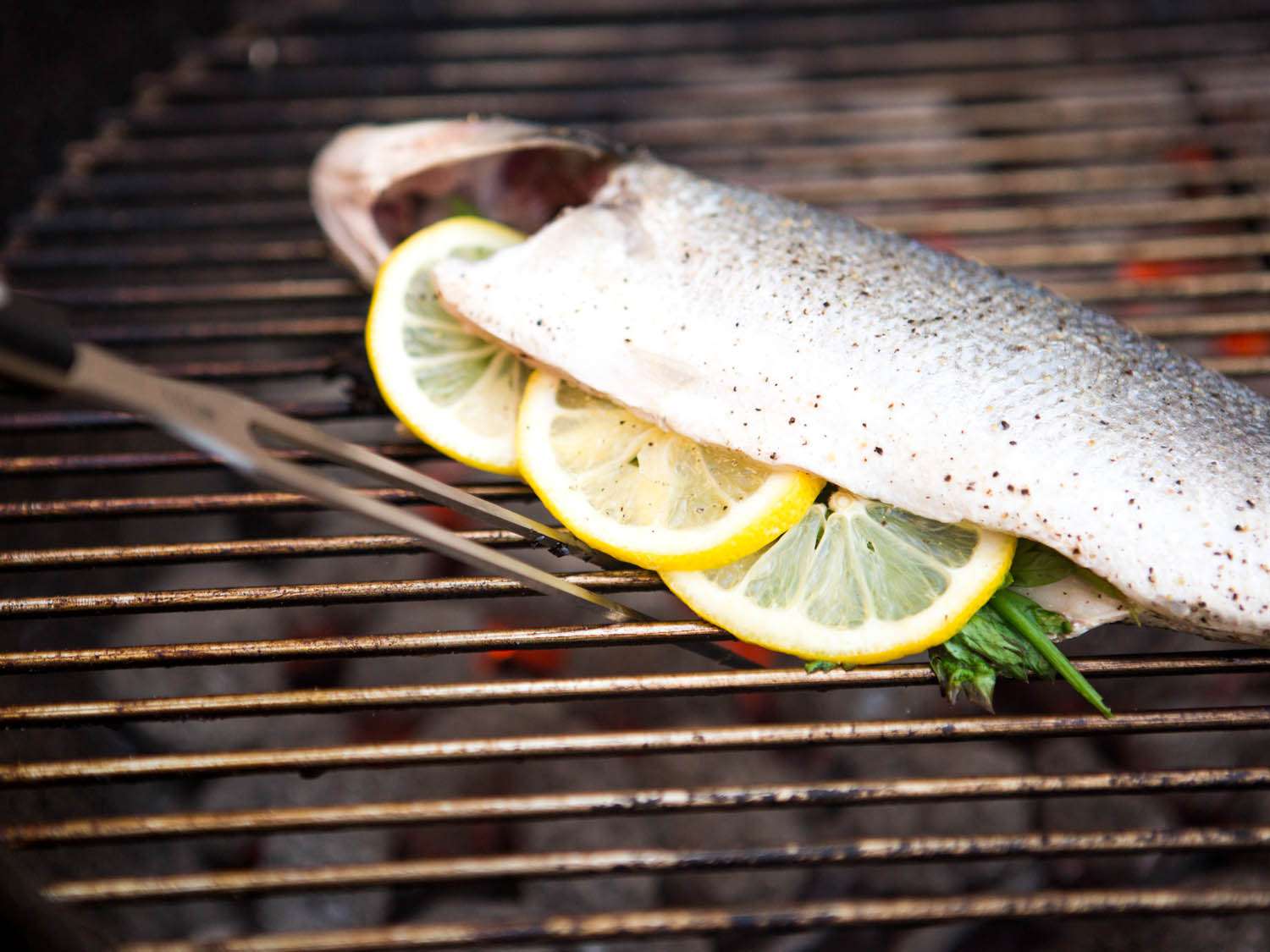 how-to-grill-fish-on-a-grill